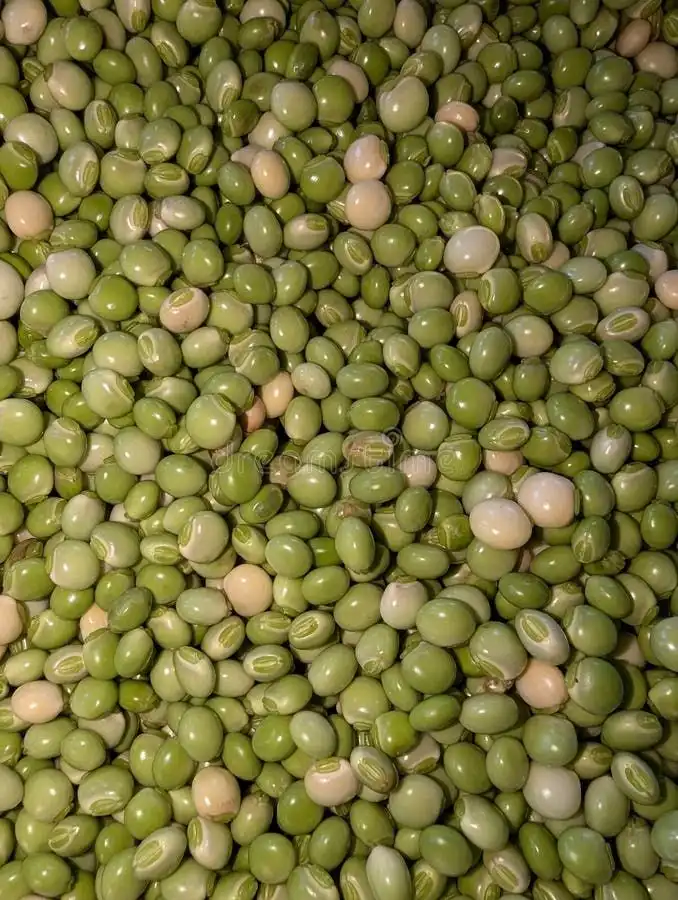 Pigeon Peas