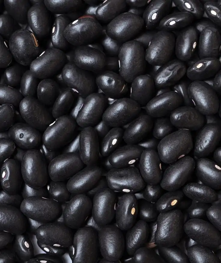 Black Beans