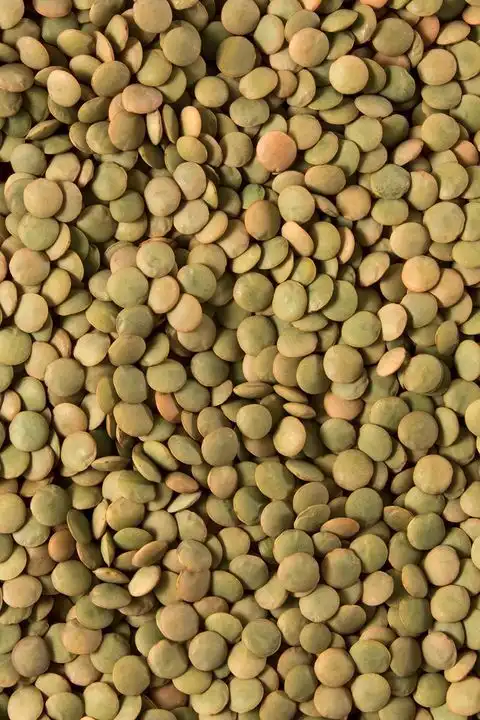 Lentils