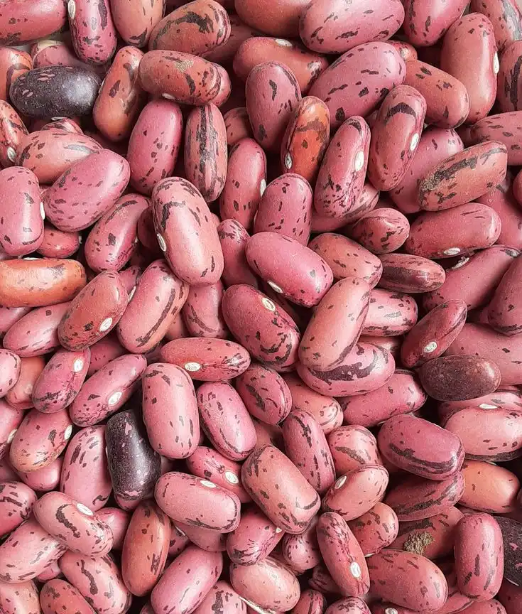Rosecoco Beans