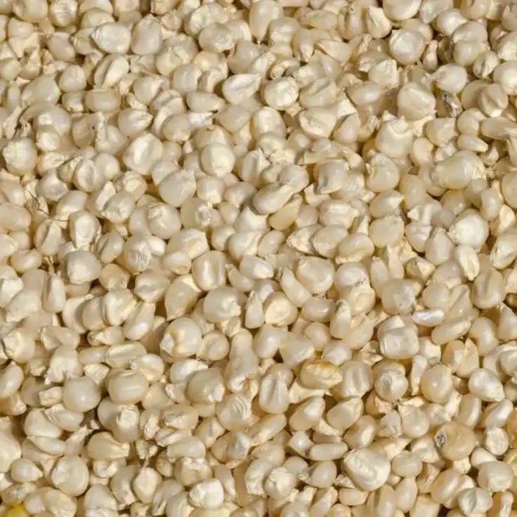 White Maize